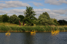 846935 Afbeelding van enkele geel geschilderde fietsen in de vijver in het Griftpark te Utrecht, als verwijzing naar de ...